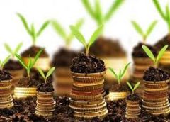 4 ý tưởng làm giàu nhanh chóng ở nông thôn hiện nay