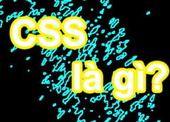 CSS và HTML là gì? Chúng có vai trò gì trong một website